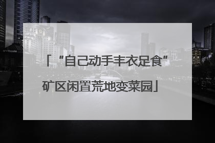 “自己动手丰衣足食”矿区闲置荒地变菜园