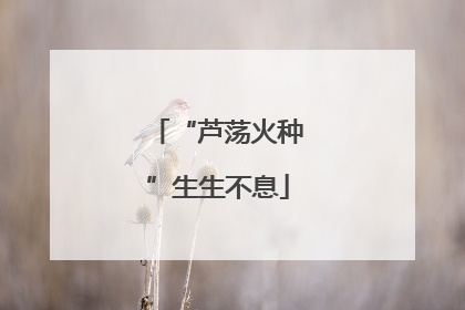 “芦荡火种”生生不息