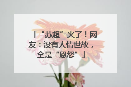 “苏超”火了！网友：没有人情世故，全是“恩怨”