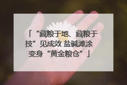 “藏粮于地、藏粮于技”见成效 盐碱滩涂变身“黄金粮仓”