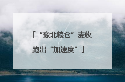 “豫北粮仓”麦收跑出“加速度”