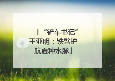 “铲车书记”王亚明：铁臂护航夏种水脉