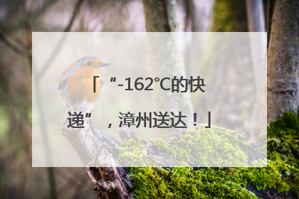 “-162℃的快递”，漳州送达！
