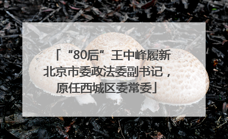 “80后”王中峰履新北京市委政法委副书记，原任西城区委常委