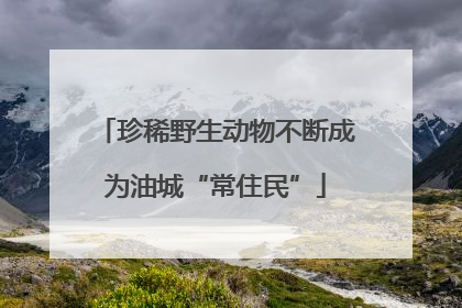 珍稀野生动物不断成为油城“常住民”