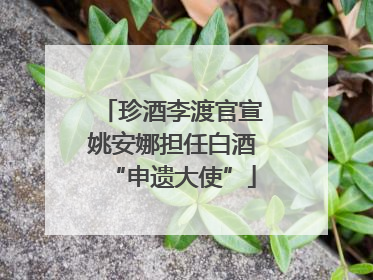珍酒李渡官宣姚安娜担任白酒“申遗大使”
