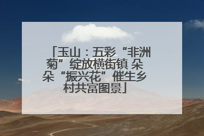 玉山：五彩“非洲菊”绽放横街镇 朵朵“振兴花”催生乡村共富图景