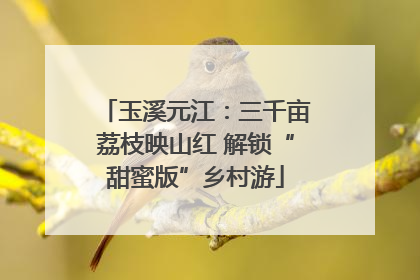 玉溪元江：三千亩荔枝映山红 解锁“甜蜜版”乡村游