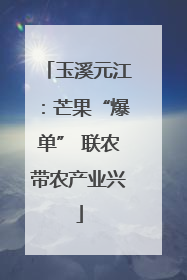 玉溪元江：芒果“爆单” 联农带农产业兴