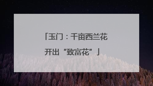 玉门：千亩西兰花开出“致富花”