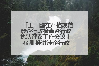 王一鸥在严格规范涉企行政检查暨行政执法评议工作会议上强调 推进涉企行政检查质效大幅提升