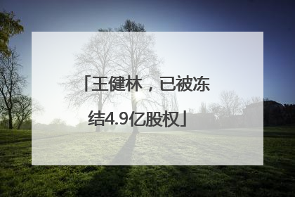 王健林，已被冻结4.9亿股权