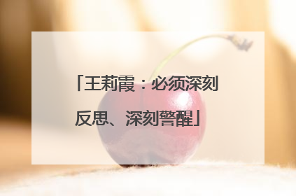 王莉霞：必须深刻反思、深刻警醒