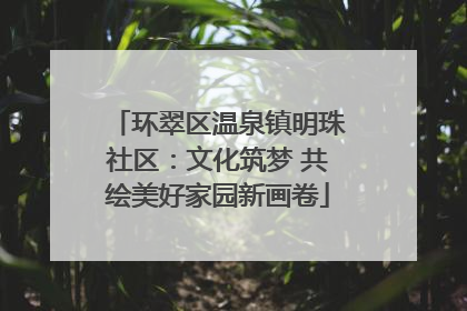 环翠区温泉镇明珠社区：文化筑梦 共绘美好家园新画卷