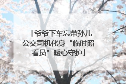 爷爷下车忘带孙儿 公交司机化身“临时照看员”暖心守护