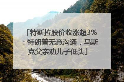 特斯拉股价收涨超3%：特朗普无意沟通，马斯克父亲劝儿子低头