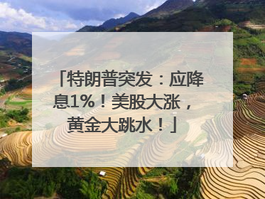 特朗普突发：应降息1%！美股大涨，黄金大跳水！