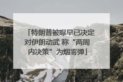 特朗普被曝早已决定对伊朗动武 称“两周内决策”为烟雾弹