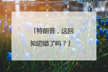 特朗普，这回知道错了吗？