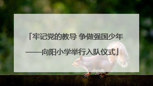牢记党的教导 争做强国少年——向阳小学举行入队仪式