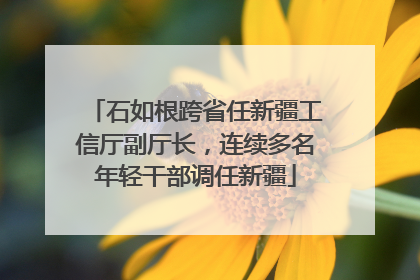 石如根跨省任新疆工信厅副厅长，连续多名年轻干部调任新疆