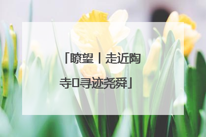 瞭望丨走近陶寺 寻迹尧舜