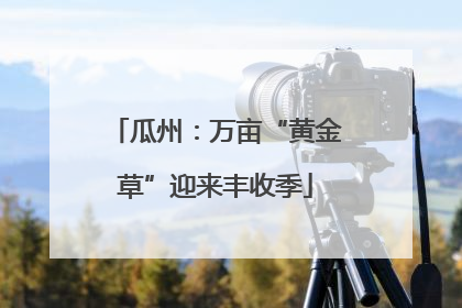 瓜州：万亩“黄金草”迎来丰收季