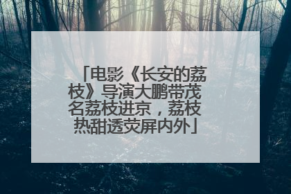 电影《长安的荔枝》导演大鹏带茂名荔枝进京，荔枝热甜透荧屏内外