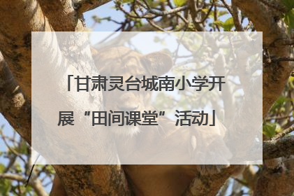 甘肃灵台城南小学开展“田间课堂”活动