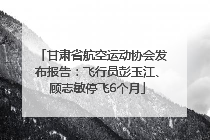甘肃省航空运动协会发布报告：飞行员彭玉江、顾志敏停飞6个月