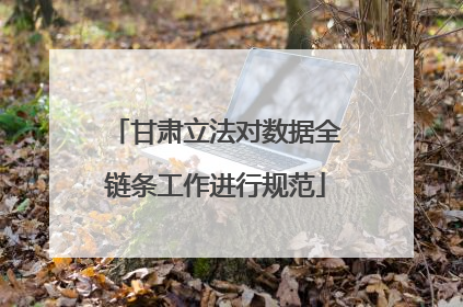甘肃立法对数据全链条工作进行规范