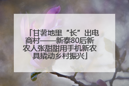 甘薯地里“长”出电商村——新泰80后新农人张甜甜用手机新农具撬动乡村振兴