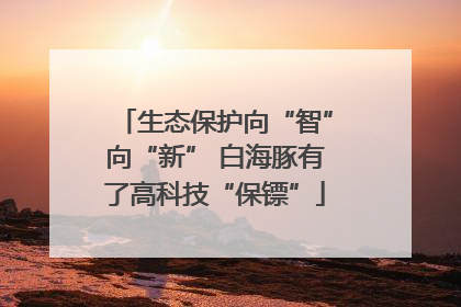 生态保护向“智”向“新” 白海豚有了高科技“保镖”