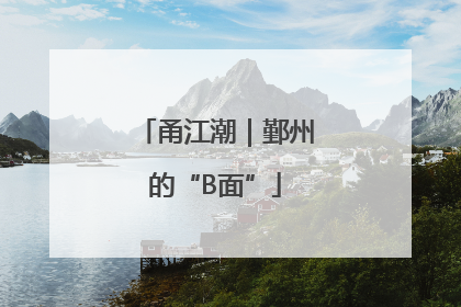 甬江潮｜鄞州的“B面”