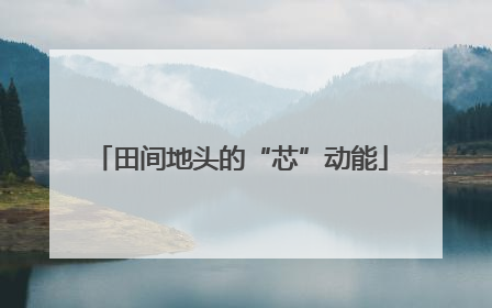 田间地头的“芯”动能