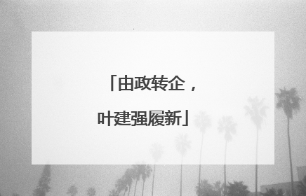 由政转企，叶建强履新