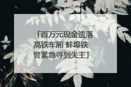 百万元现金遗落高铁车厢 蚌埠铁警紧急寻到失主