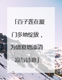 百子莲在厦门多地绽放，为盛夏增添清凉与诗意