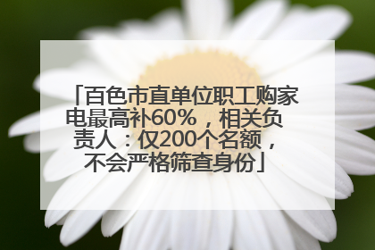 百色市直单位职工购家电最高补60％，相关负责人：仅200个名额，不会严格筛查身份