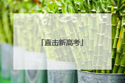 直击新高考