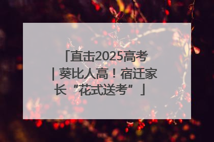 直击2025高考｜葵比人高！宿迁家长“花式送考”