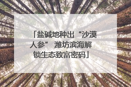 盐碱地种出“沙漠人参” 潍坊滨海解锁生态致富密码