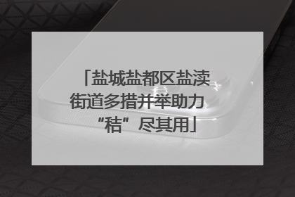 盐城盐都区盐渎街道多措并举助力“秸”尽其用