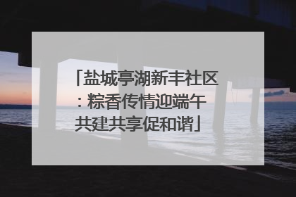 盐城亭湖新丰社区：粽香传情迎端午 共建共享促和谐