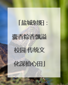 盐城射阳：囊香粽香飘溢校园 传统文化深植心田