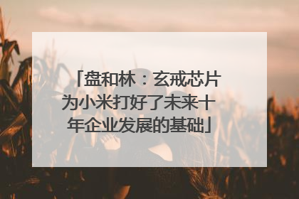 盘和林：玄戒芯片为小米打好了未来十年企业发展的基础