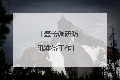 盛蕾调研防汛准备工作