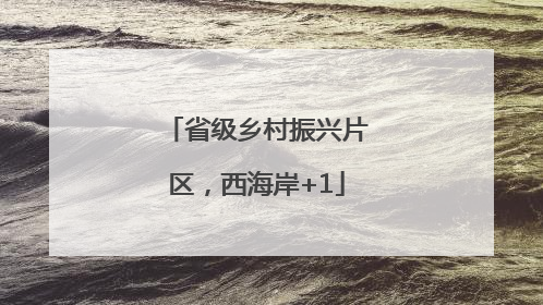 省级乡村振兴片区，西海岸+1