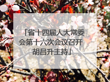 省十四届人大常委会第十六次会议召开 胡昌升主持