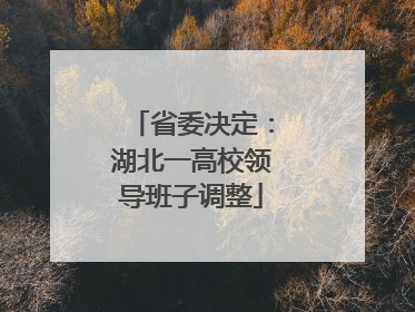 省委决定：湖北一高校领导班子调整
